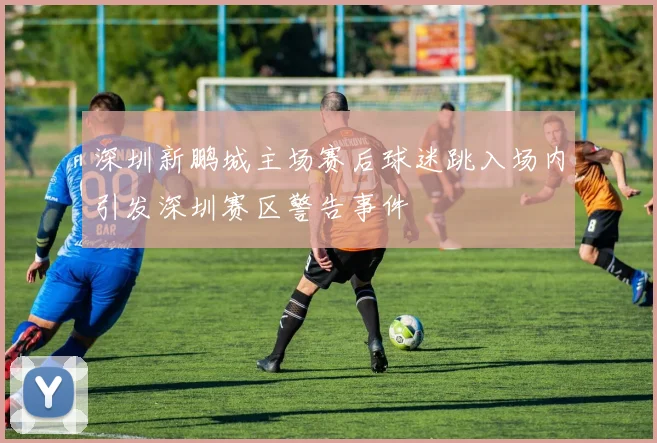 深圳新鹏城主场赛后球迷跳入场内引发深圳赛区警告事件