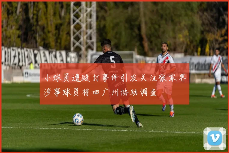 小球员遭殴打事件引发关注张家界涉事球员将回广州协助调查
